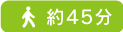 約45分